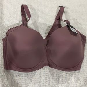 NWT Modern Movement Boyfriend T-shirt Bra 36DD